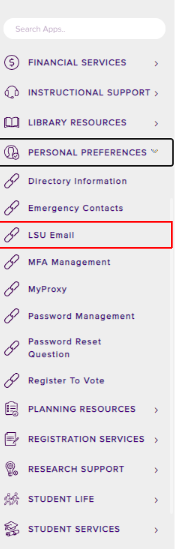 LSU Email 